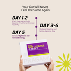 5-Day Gut Cleanse & Reset