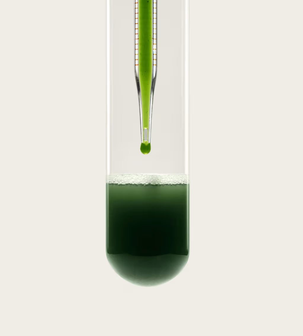 5-Day Gut Cleanse & Reset