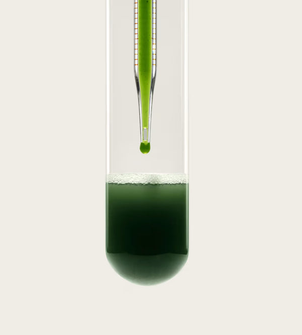 5-Day Gut Cleanse & Reset